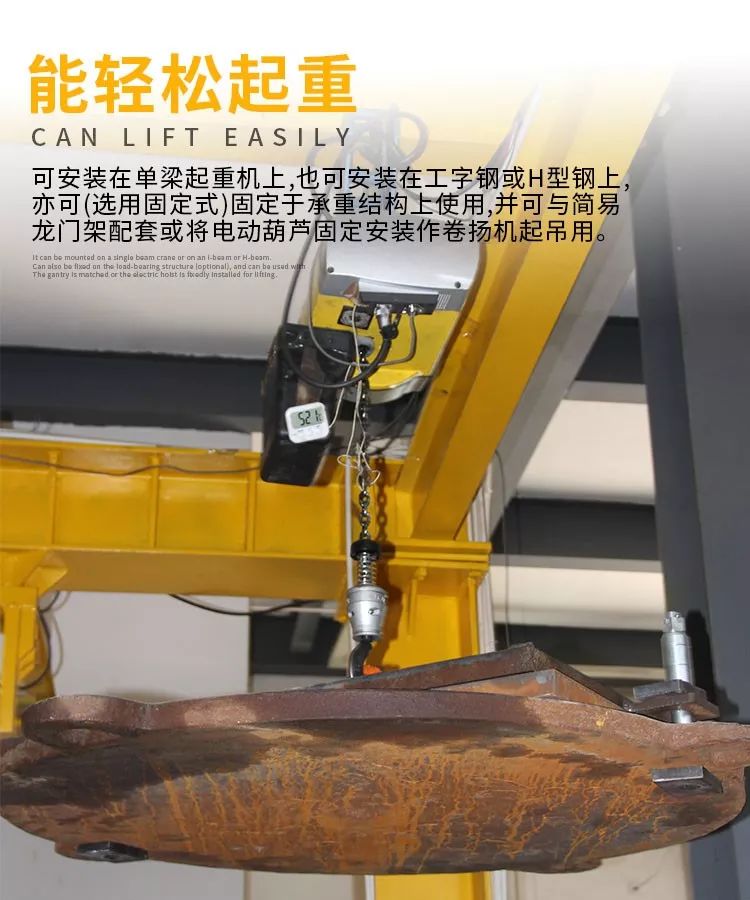 電動(dòng)葫蘆(圖2)