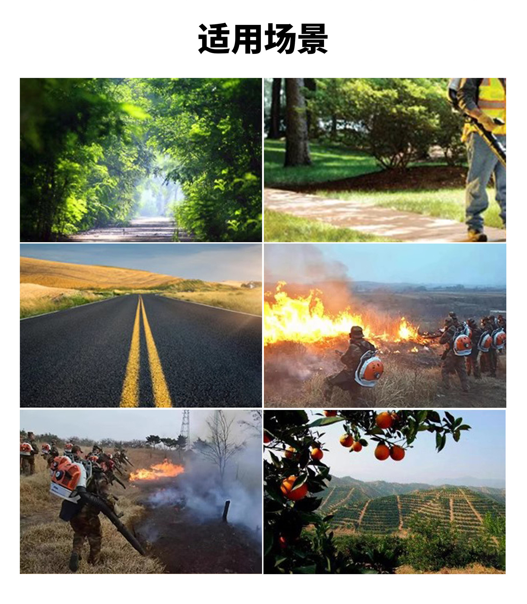 斯蒂爾吹風機（一機多用）(圖2)