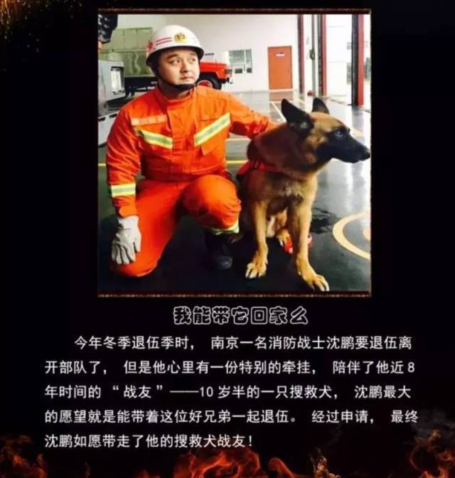 浴火重生的逆行者，肌肉越大責任越大，這才是真漢子——中國消防員(圖23)