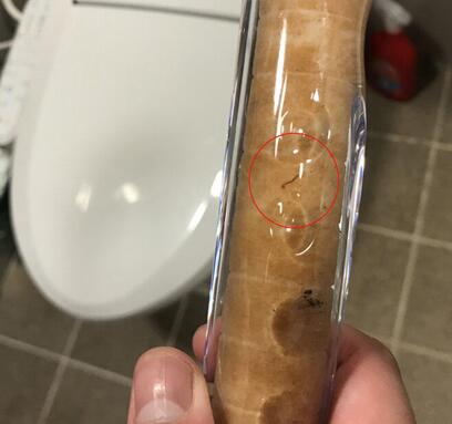 韓國(guó)多地自來水現(xiàn)幼蟲樣生物 究竟是怎么回事(圖4) 韓國(guó)多地自來水現(xiàn)幼蟲樣生物 究竟是怎么回事(圖4)