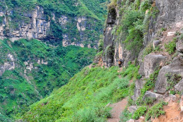 四川批準涼山7縣摘帽脫貧！全省88個貧困縣全部清零