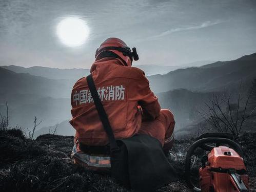 森林消防員的“法寶”你了解多少？(圖1)