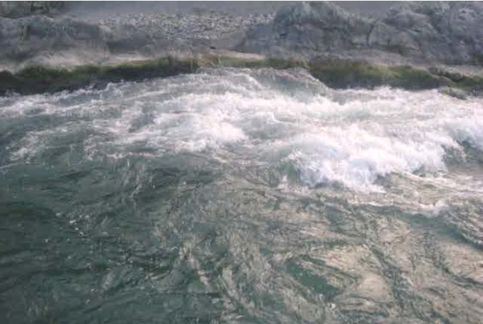 水域救援:水域救援的基礎(chǔ)知識(shí)(圖12) 水域救援:水域救援的基礎(chǔ)知識(shí)(圖12)